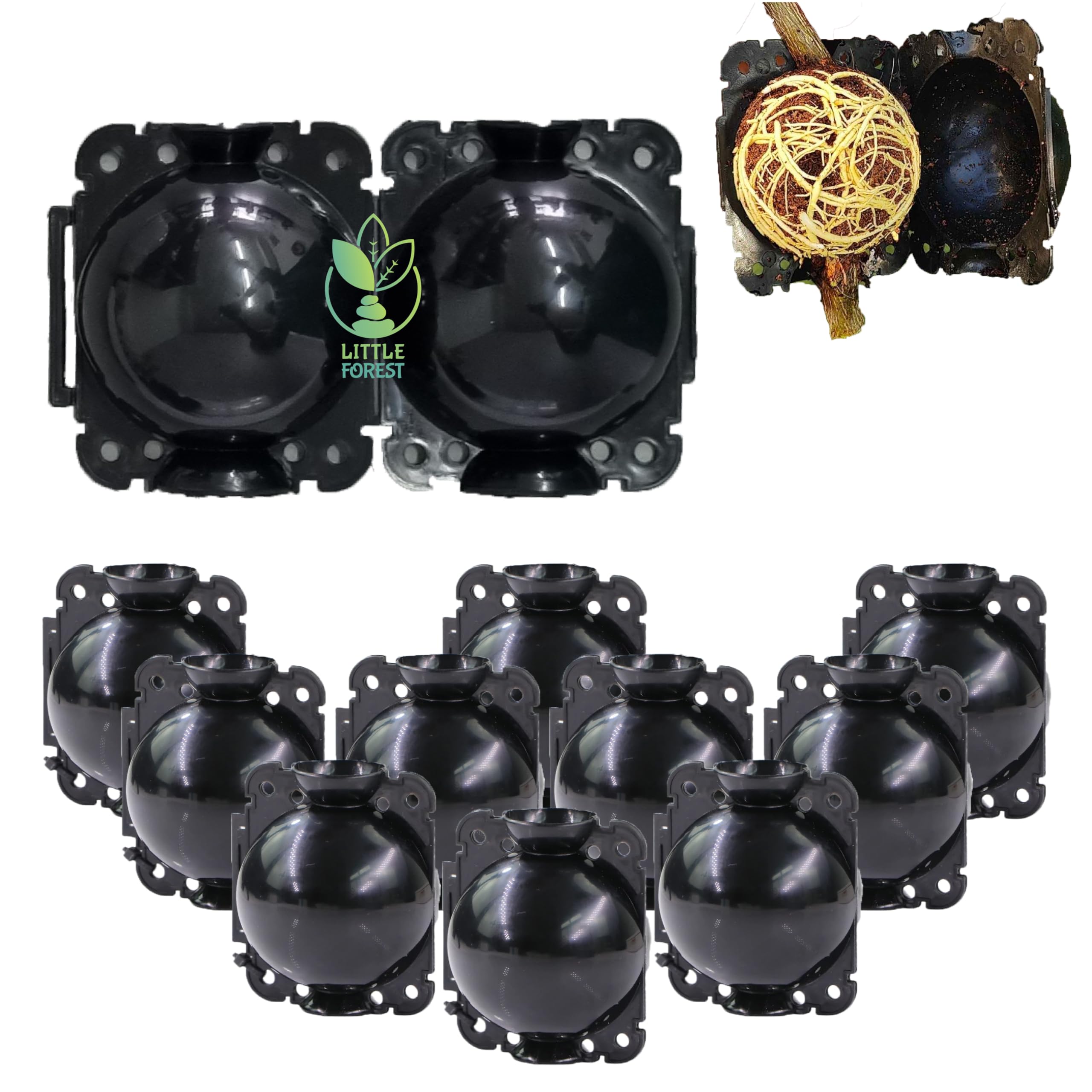 Little Forest - 2 Inch Plastic Rooting Ball, Plant Rooting Propagation Ball, Faster Root Growth, 100% Virgin Plastic, Reusable, Selflocking (Black - 10 PCS)-image-35