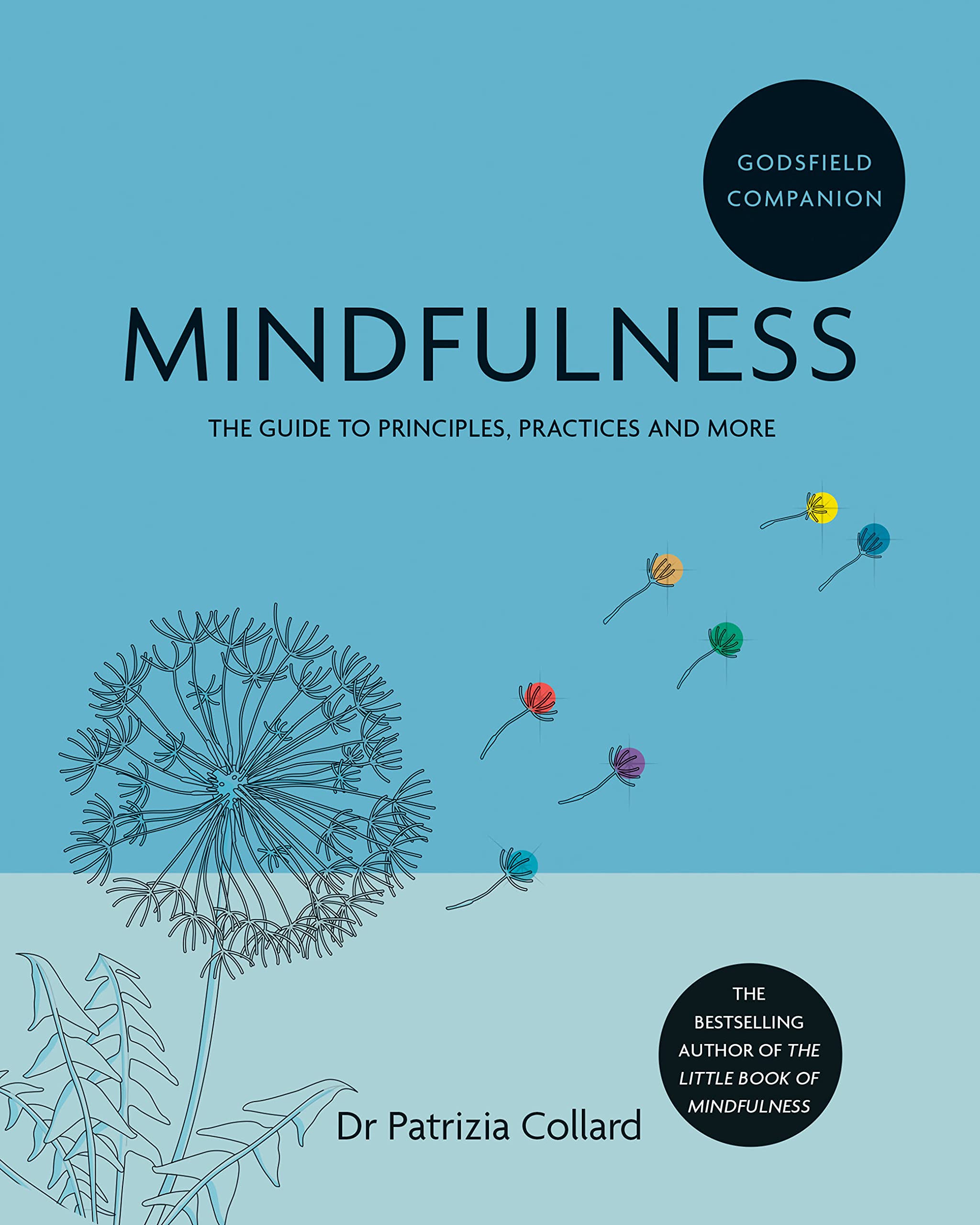 Godsfield Companion: Mindfulness by Dr Patrizia Collard (Paperback Book)