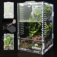 MYGIIKAKA Acrylic Jumping Spider Habitat Terrarium - 360° View Bug Enclosure for Praying Mantis, Frogs, Tarantulas 7.87x4.72x4.33"