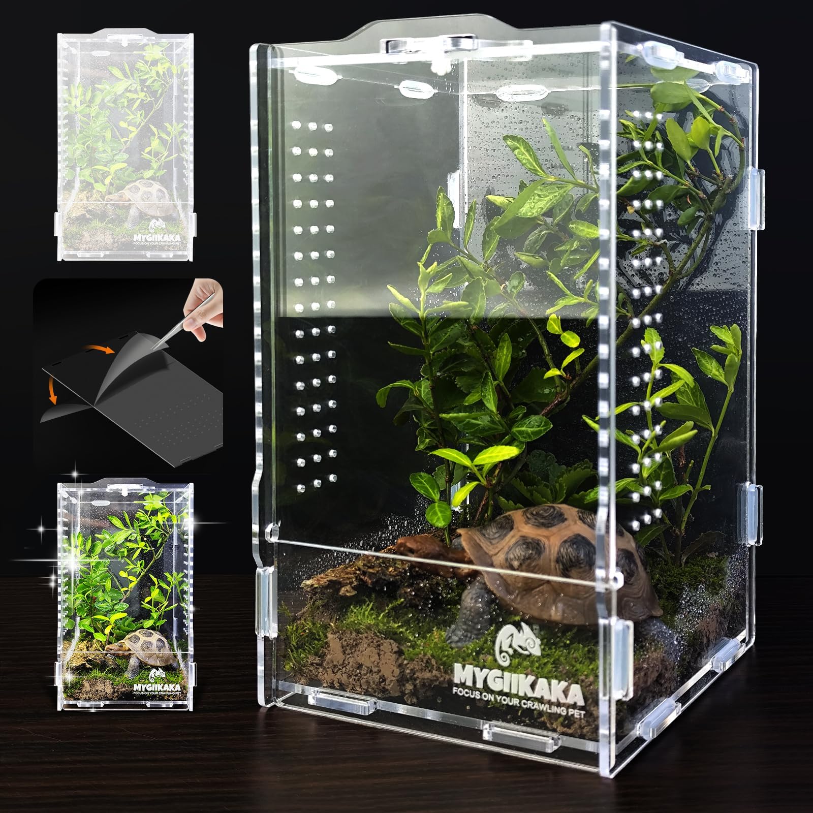 Small Insect Terrarium