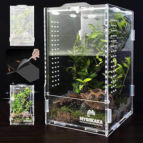 Acrylic Jumping Spider Habitat, Insect Terrarium, Bug Enclosure, Praying Mantis Habitat, Frog Enclosure - Small