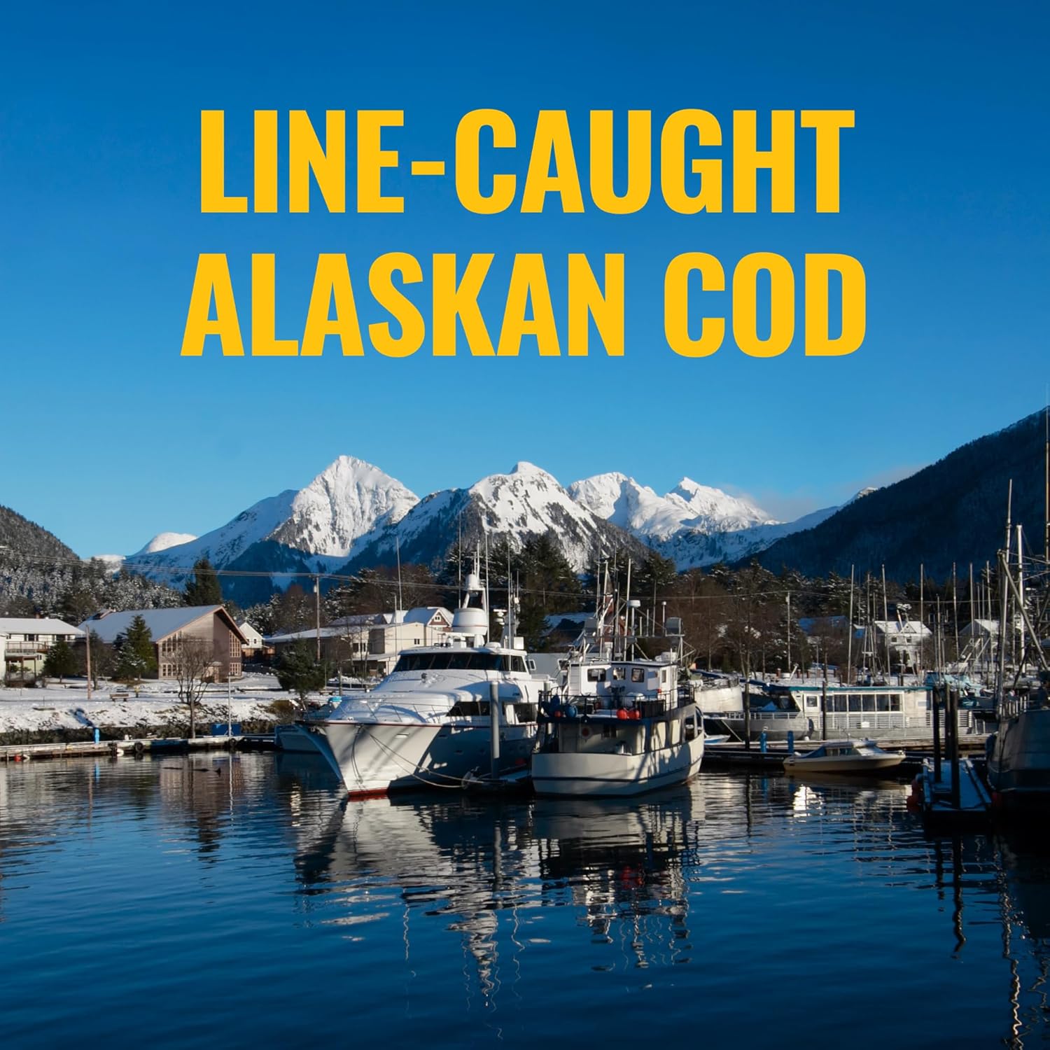 On Target Living Alaskan Cod Liver Oil 120 Soft Gels | Line Caught in The USA | Naturally Occurring Vitamin D | Rich in Omega 3 DHA/EPA