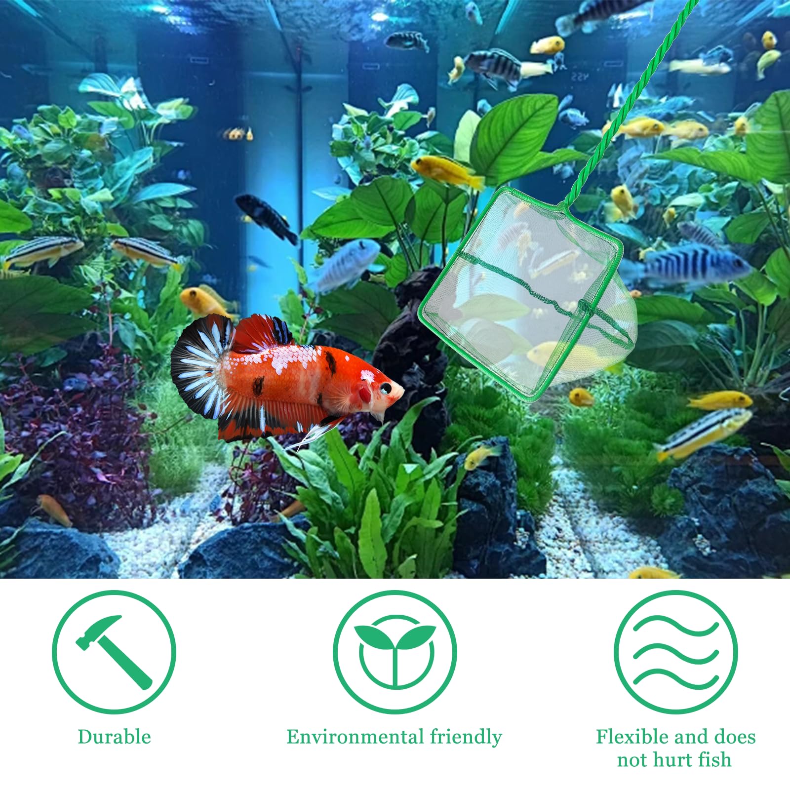 Filet De Pêche Pour Aquarium (2 Pièces) - Maille Fine 8x7 Cm, Manche 24 Cm, Pour Petits Poissons/crevettes