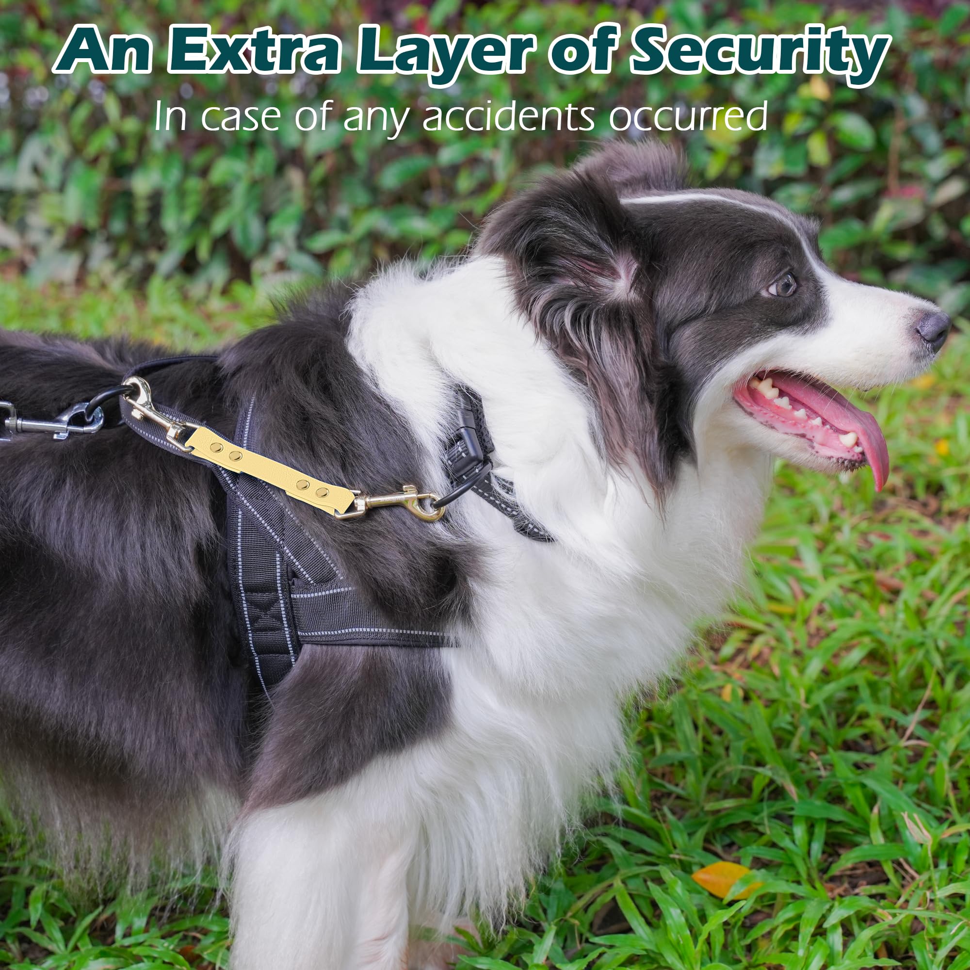 PetBonus Dog Collar Safety Clip - Image 4