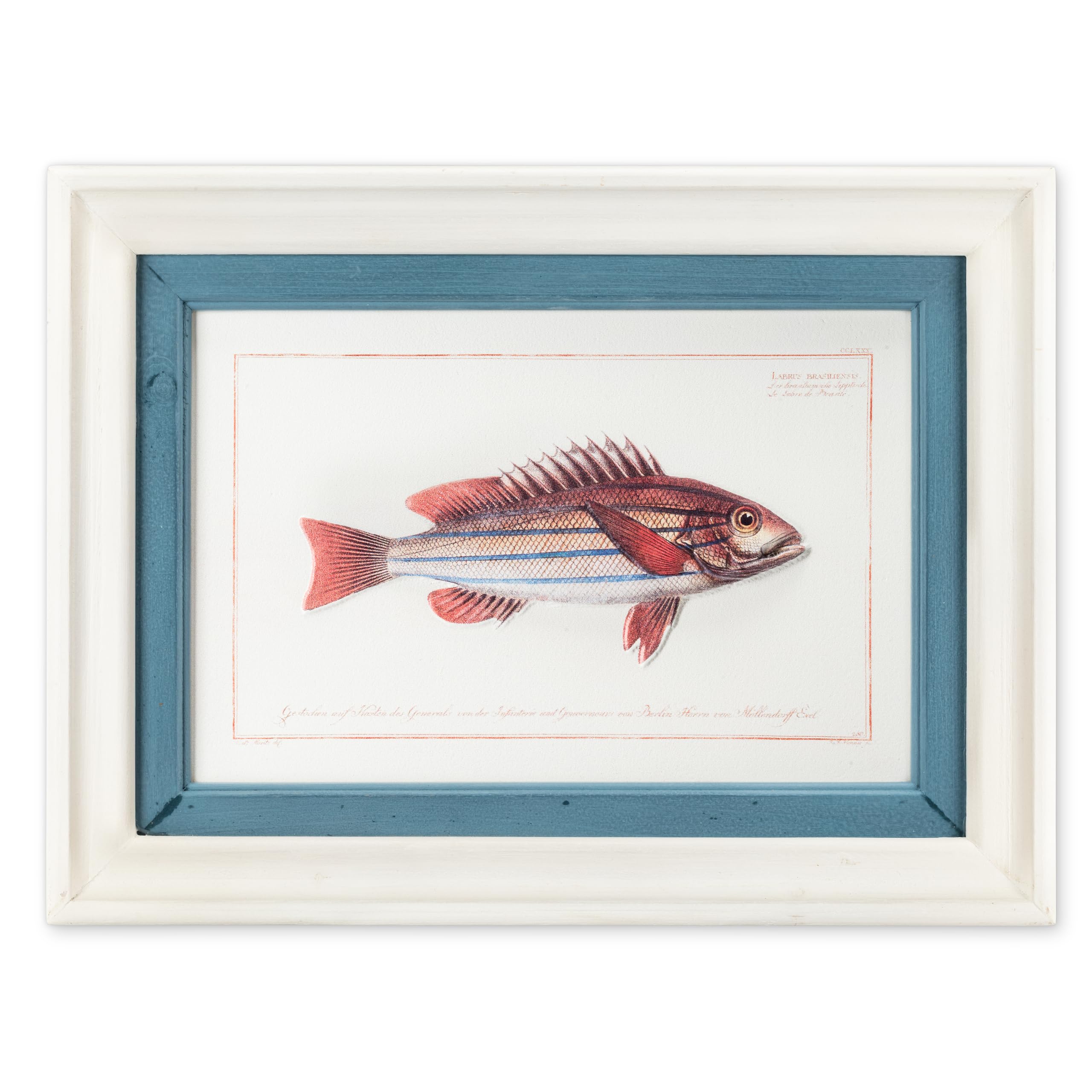 Abbott Collection Home White/Blue Striped Fish Artwork