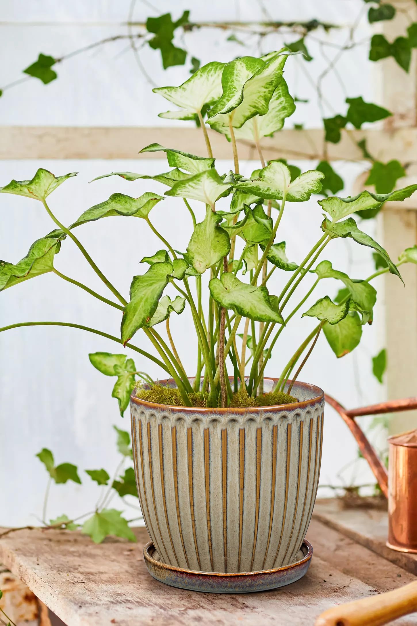Oairse - Vaso in ceramica a coste, vasi da fiori con sottovaso con fori di drenaggio per piante da interno, decorazione retrò per set di contenitori da giardino all'aperto, diametro apertura 20 cm