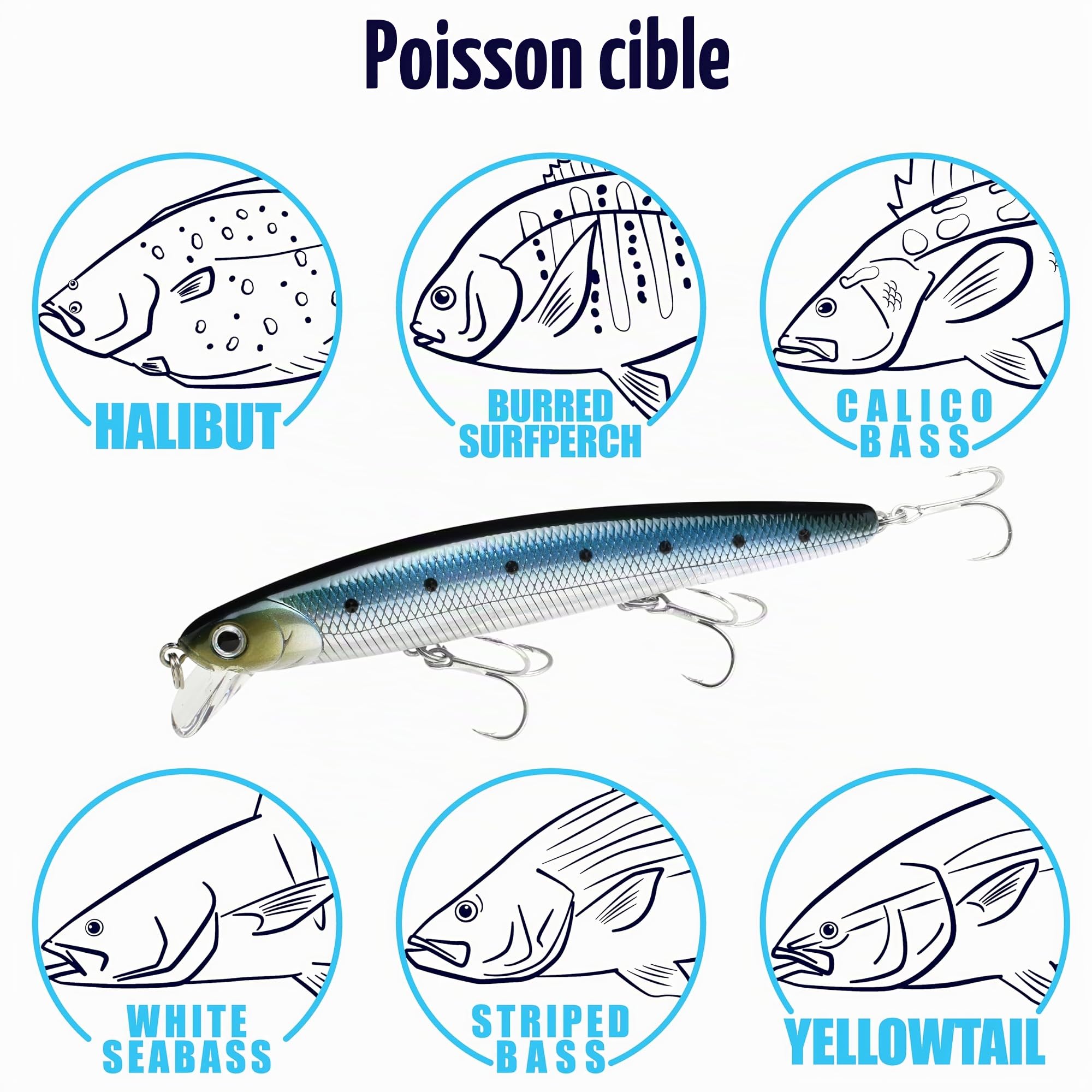 Lucky Craft Leurre de pêche CIF Flash Minnow 110 California pêche côtière