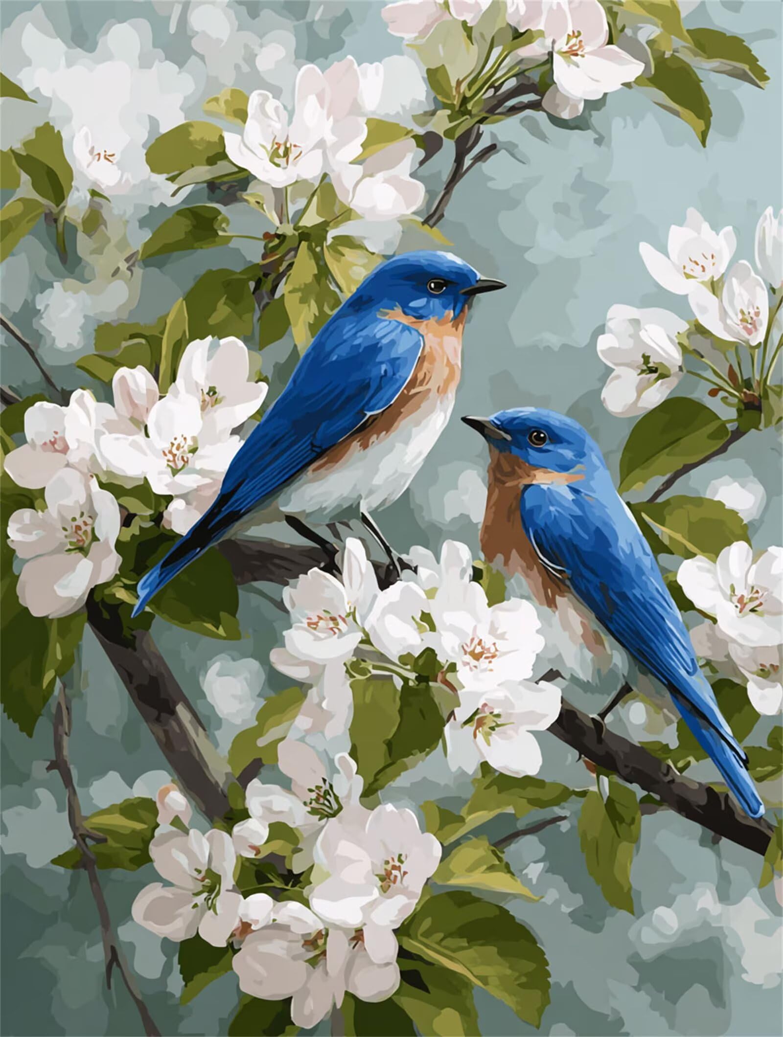 Dipingere con i Numeri Adulti uccelli, blu Dipingere con i Numeri Bambini DIY Kit, Set Premium con Pennelli, Decorazione Casa & Creativo Regalo di Compleanno, Attività di Tempo libero 70x95cm z-325