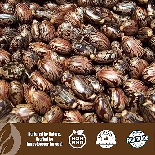 Miniatura 6 de Herbsforever Aceite de ricino  Aceite de semillas de Ricinum Communis  Mantiene la piel, el cabello, las pestañas y las cejas saludables  Aceite