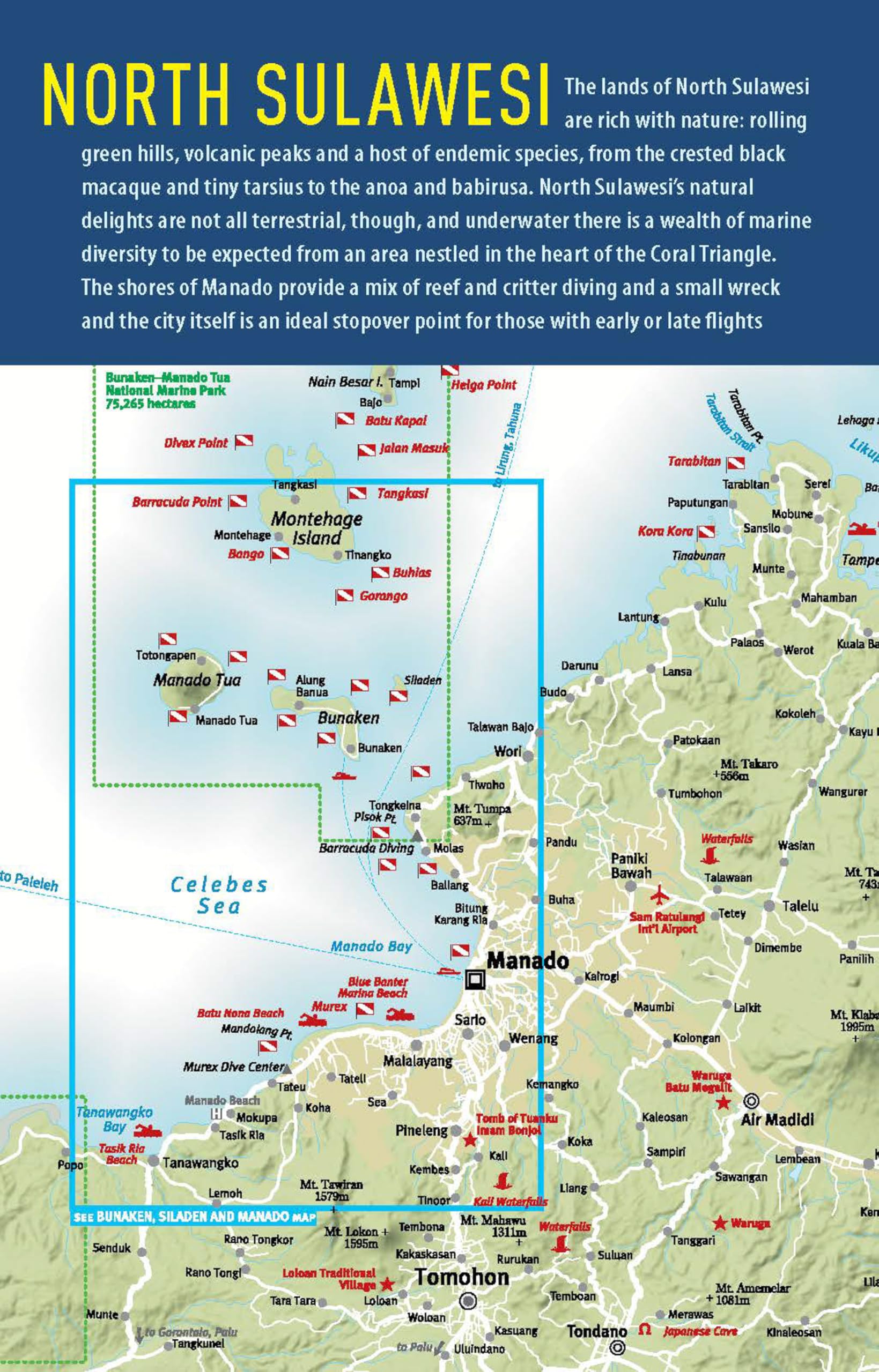 The Ultimate Guide to Diving in Indonesia: Exploring the Tropical Seas with the World's Greatest Marine Biodiversity