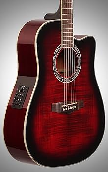 Amazon.com: Ibanez PF28ECE PF Acoustic-Electric Guitar