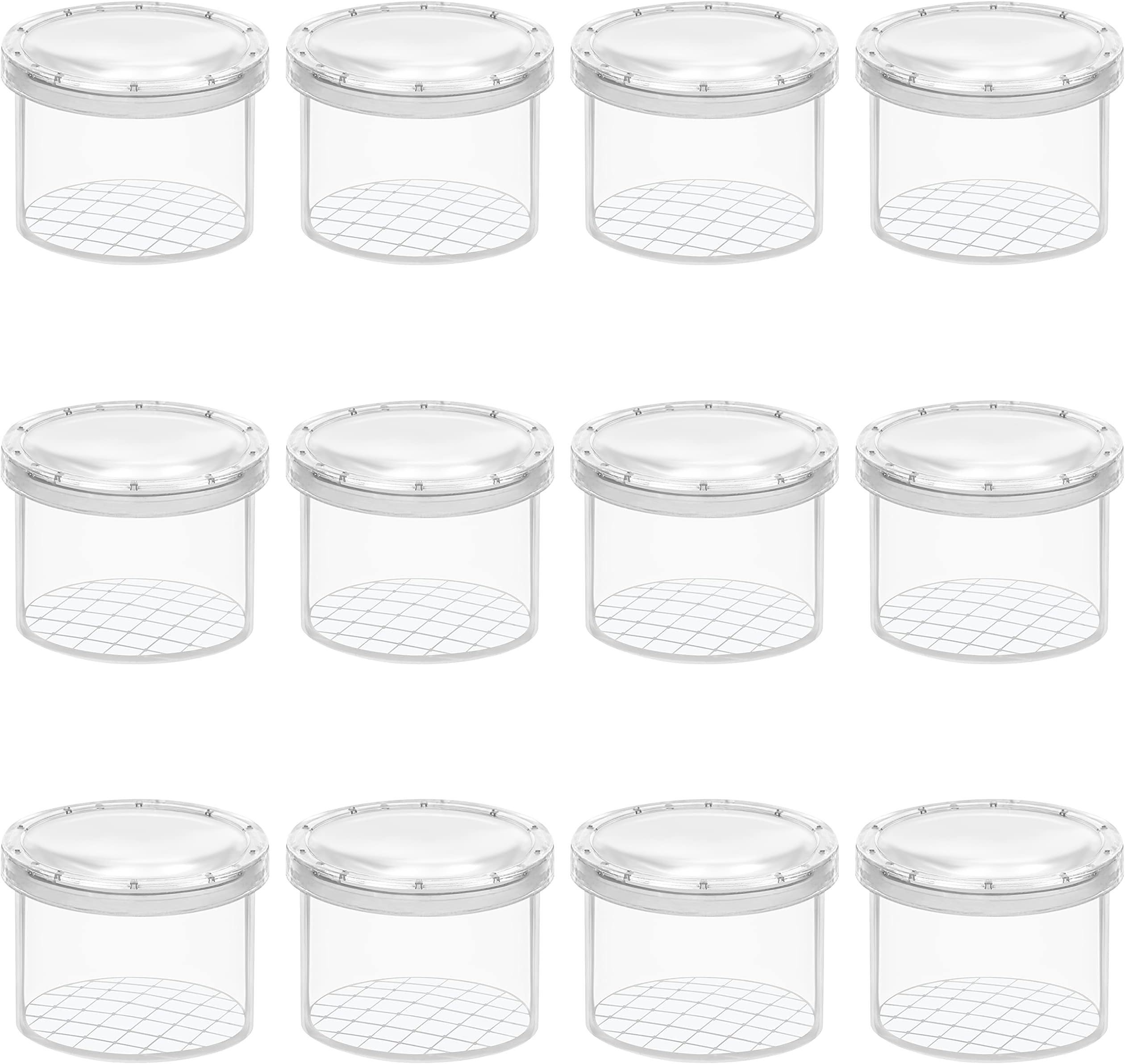 Belle Vous Magnifying Insect Container (12 Pack) - Clear Observation Bug Box/Viewer - Portable Insect Cage for Science/Nature Exploration and Bug Collecting - Catching Tool/Toy for Adults and Children