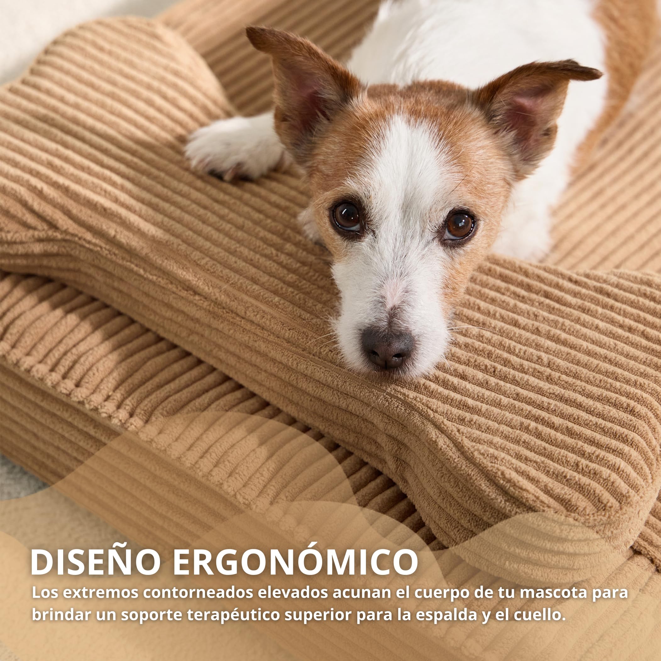 Cama Perro ortopédica antiestrés Lavable Funda Impermeable (Small)