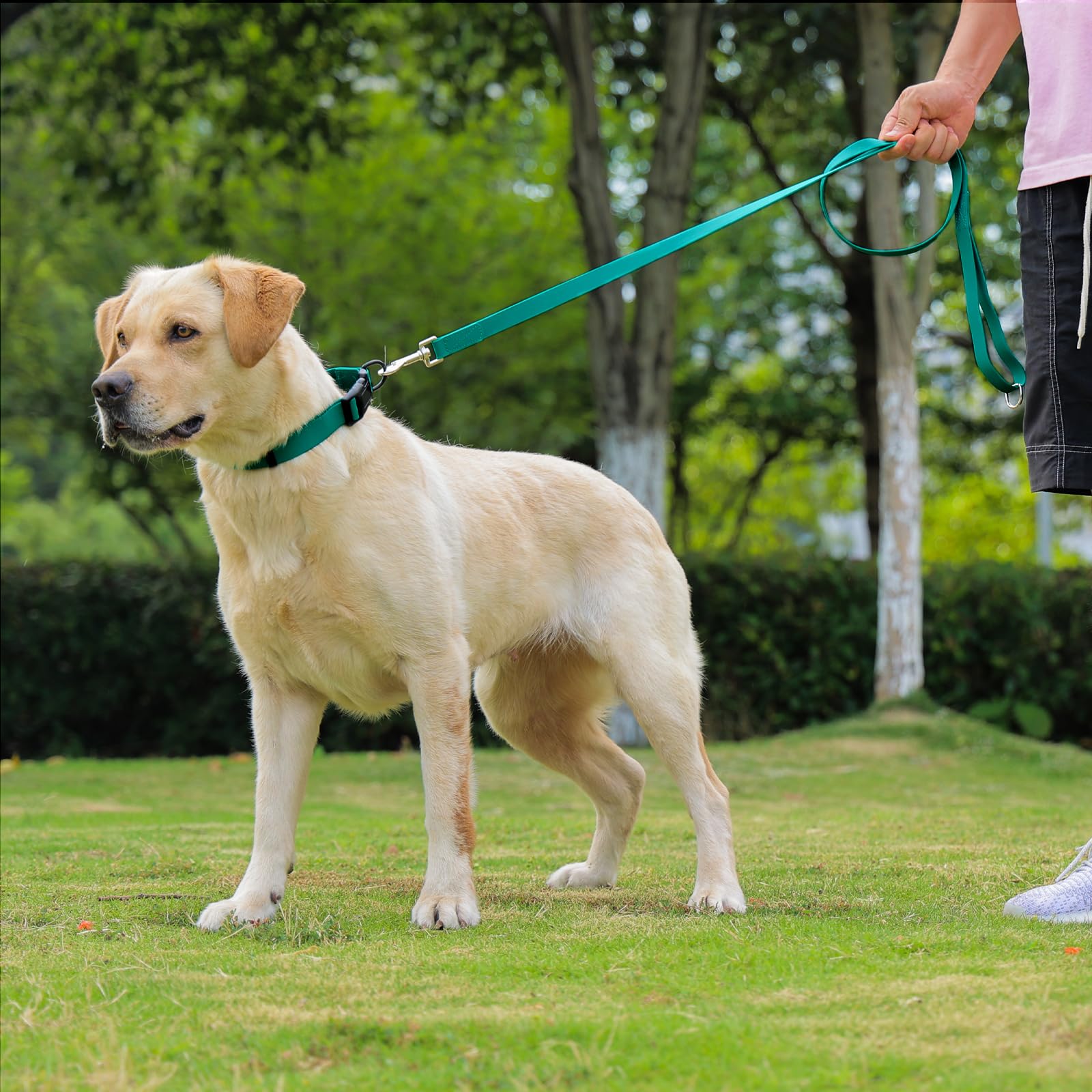 Wasserdichte Hundeleine, 1,5 m, langlebig, geruchsdicht, mit starken Metallhaken, passend für kleine, mittelgroße oder große Hunde (Smaragdgrün, 1,5 m – 1,9 cm Breite)