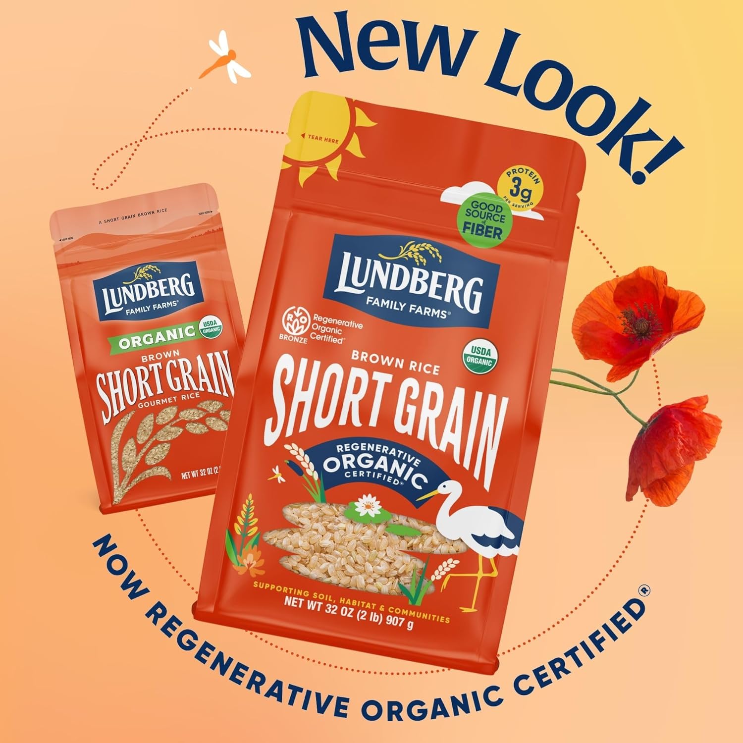 Lundberg Short Grain Brown Rice, Regenerative Organic Certified, 6-Pack – Slightly Nutty, Sticky Rice Responsibly Grown in California, 32 Oz Ea