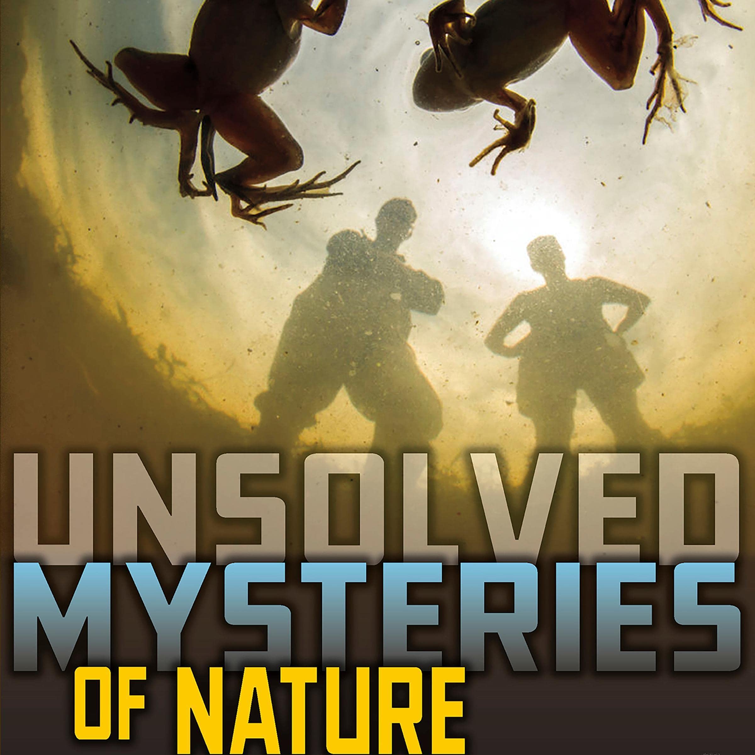 Unsolved Mysteries of Nature