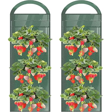 Amazon Co Jp Giorsen イチゴポット 不織布プランター 布プランター 大型 3 5 10ガロン 野菜 フラワー 果物用 通気性 透水性 収納便利 持ち手付 サイドポケット付 屋外 Diy園芸 ガーデニング ベランダ 庭 家庭菜園 室内栽培用植木鉢 新生活 新居祝い 引っ越し祝い 母の Amazon Co Jp Giorsen イチゴポット 不織布プランター 布プランター 大型 3 5 10ガロン 野菜 フラワー 果物用 通気性 透水性 収納便利 持ち手付 サイドポケット付 屋外 Diy園芸 ガーデニング ベランダ 庭 家庭菜園 室内栽培用植木鉢 新生活 新居祝い 引っ越し祝い 母の