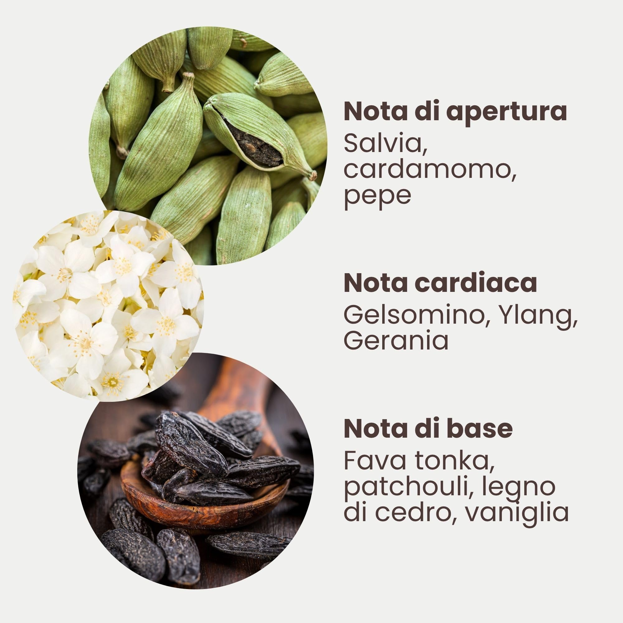Jean & Len Hand & Body Cleanser Cardamom & Tonka in busta ricarica, per un'esperienza di pulizia profumata, profumo esotico e speziato, sapone liquido in confezione ricarica, vegano, 1,5 L