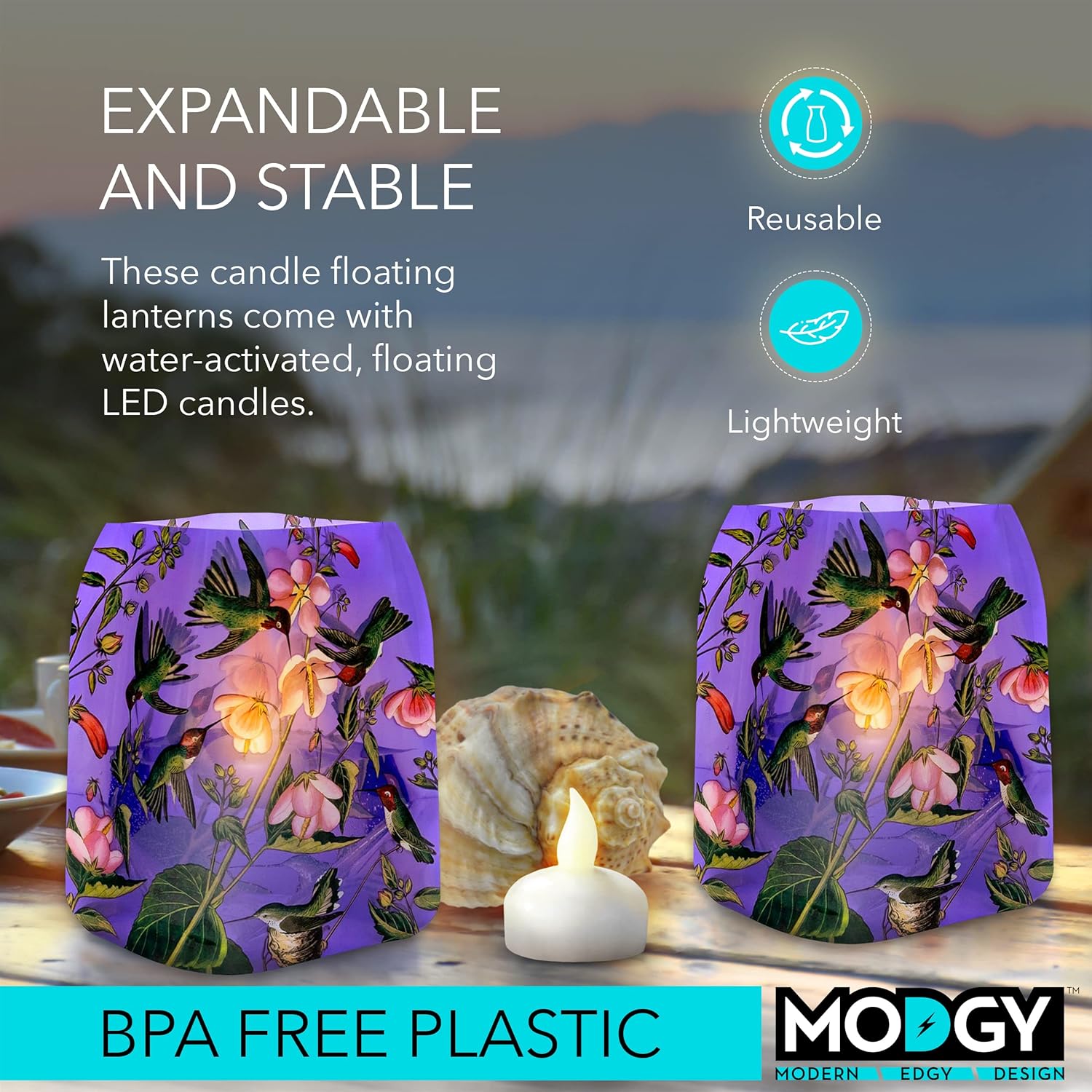 MODGY Luminary LED Lantern Candle Holder Decorative Indoor Outdoor, Plastic Candle Lamps for Wedding Table Centerpiece Porch, Flameless Floating Candles, Hummingbird, John J. Audubon, 2 Packs of 4