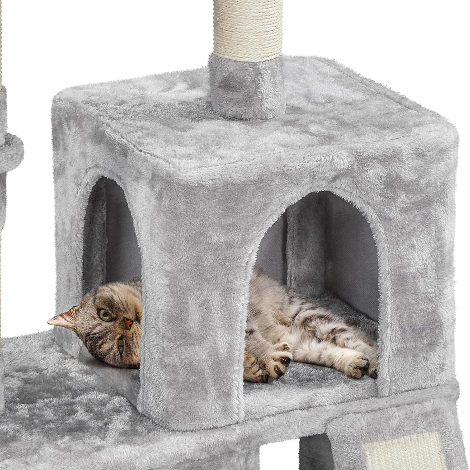 double cat condo