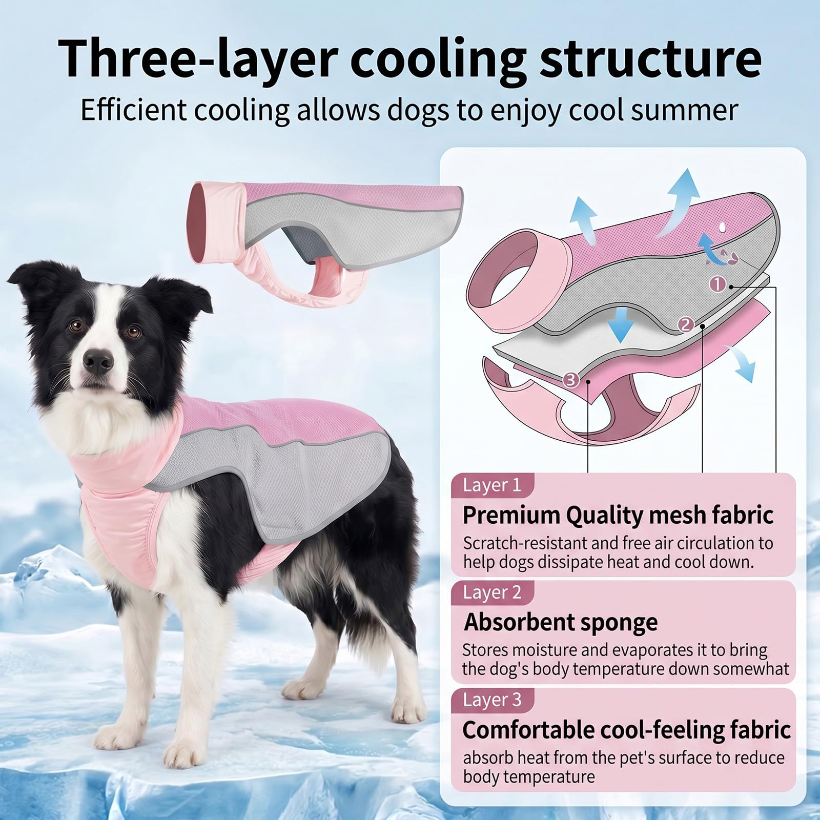 View 4
