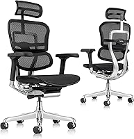 Vista 4 de Silla ergonómica giratoria, de malla, altura de asiento de 18.1 pulgadas a 22.9 pulgadas, respaldo alto con apoyacabezas, color borgoña, de Negro