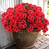 Hananona 6 Pcs Artificial Geranium Flowers for Outdoors Geranium Silk Red Flower Outdoor UV Resistant Garden Plants Faux Flowers for Christmas Home Kitchen Table Centerpieces Decor (6, Red) Red 6