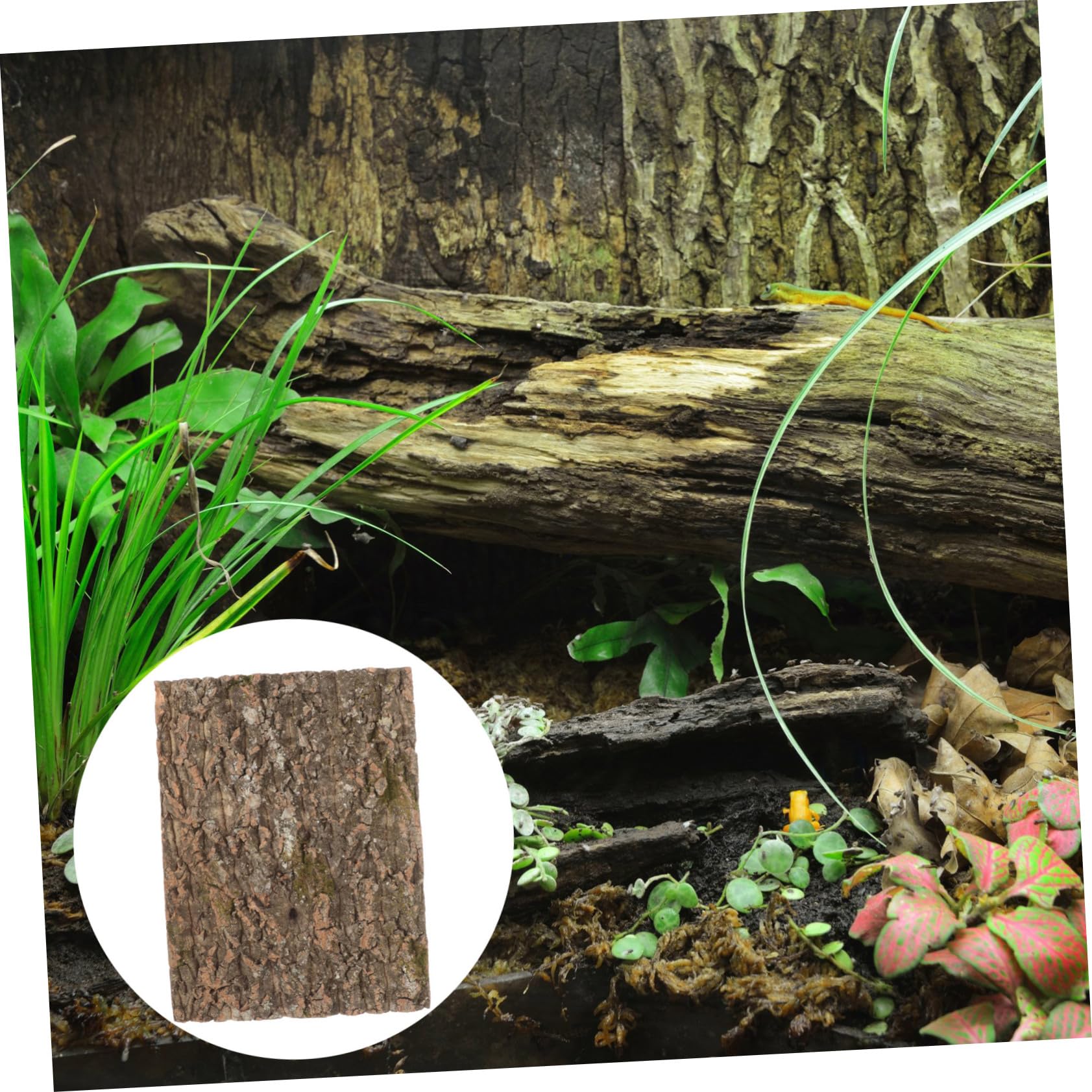 UPKOCH Corteza De Corcho para Reptiles Diseño Natural, Plataforma para Lagartos y Fondo Decorativo para Acuarios De Reptiles En Hábitat Simulado