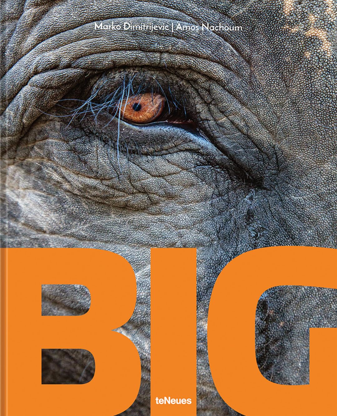 teNeues Photographic Album Big: A Photographic Album of the World's Largest Animals