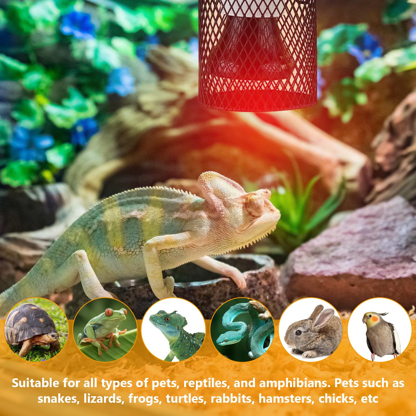 KBIBCK Reptielen warmtelamp met beschermmand, 2 stuks E27 keramische warmtelamp met lampvoet houder, warmtelampen, schildpadden, instelbare temperatuur voor reptielen, schildpad, hagedissen, slang (50
