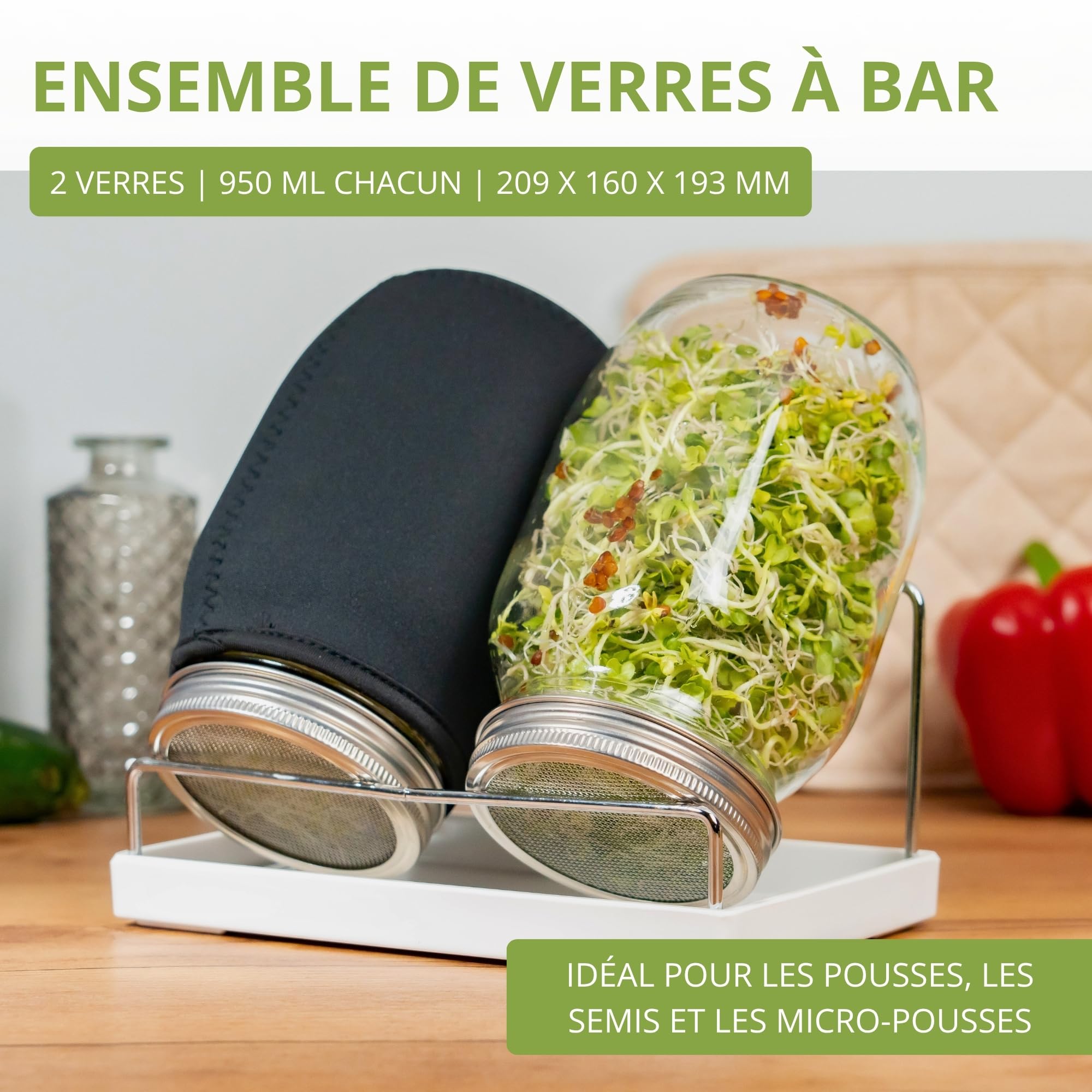 Westmark Pot à Germes, Pot de Germination Lot de 2 – Pots de Germination avec Couvercle, Tamis en Acier Inoxydable et Égouttoir – pour Germes, Micropousses, 950 Ml, Verre