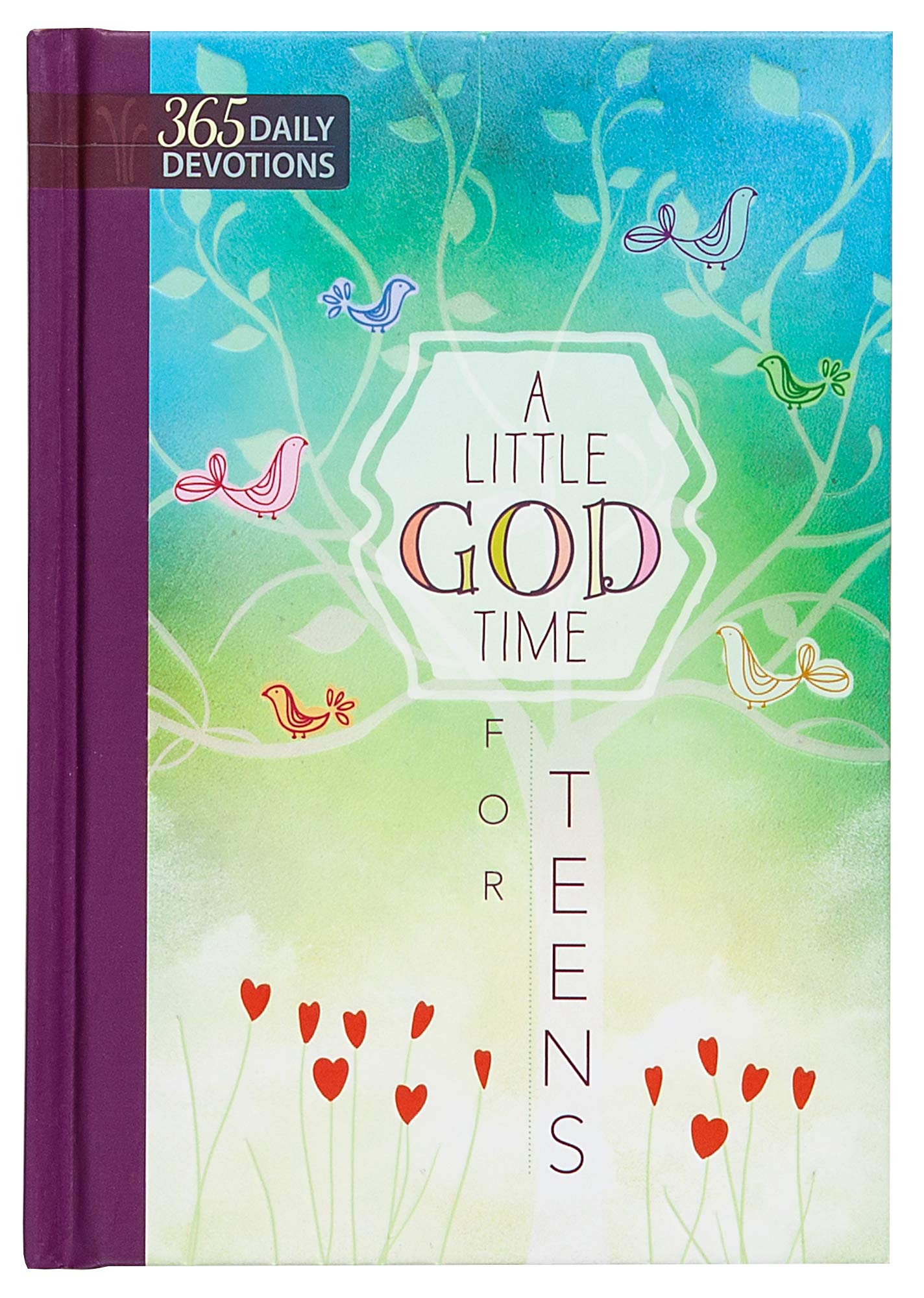 A Little God Time for Teens: One Year Devotional Hardcover April 1, 2016