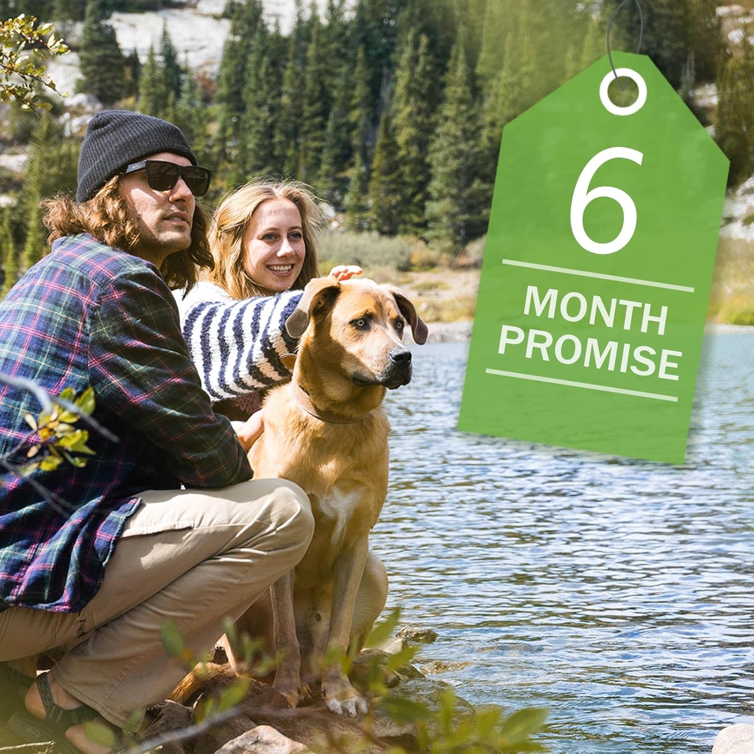 Merino Protect Thin Merino Wool Crew Sock for Men Women Lightweight Hiking Socks Soft Mid Calf Dress Socks 4Pack - Image 2