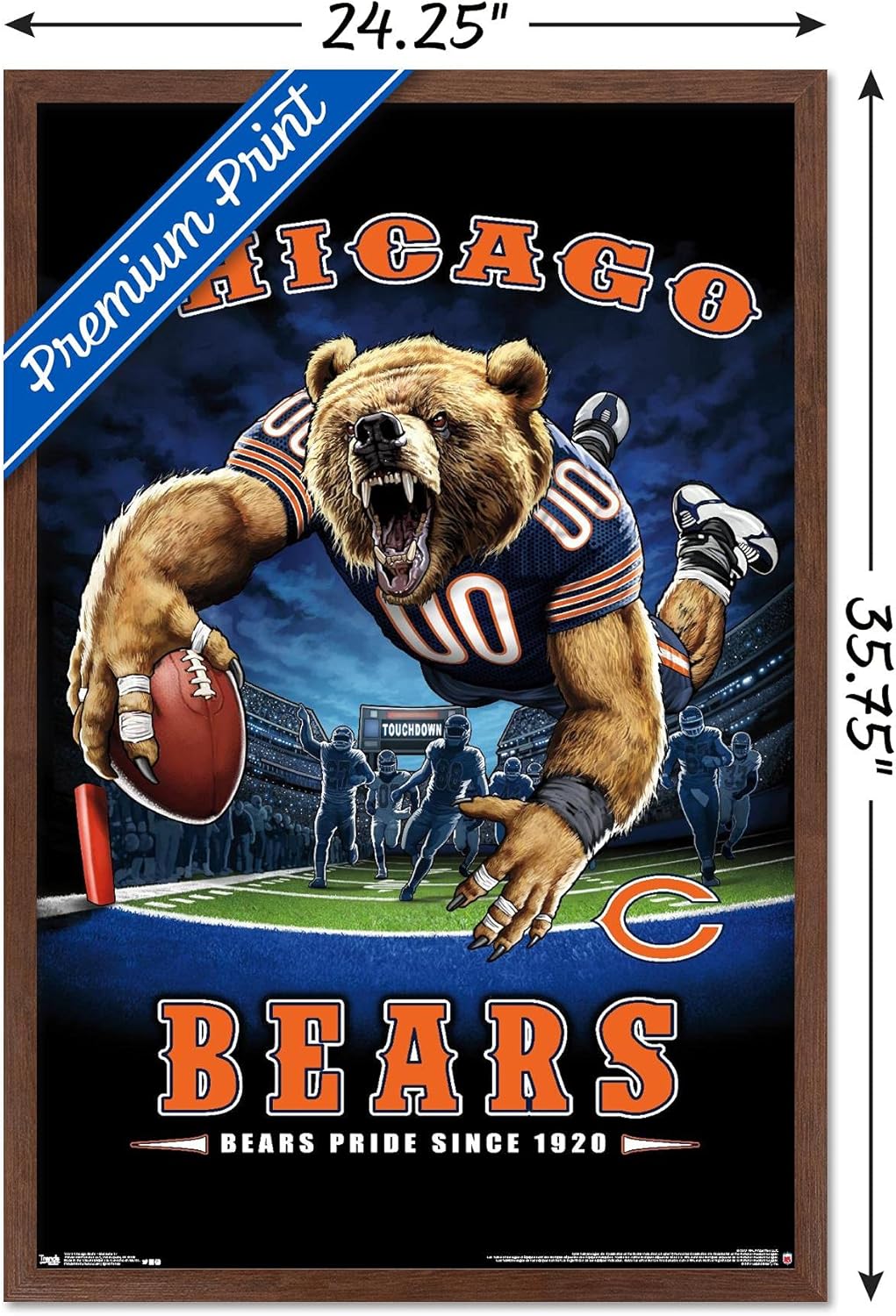 Trends International NFL Chicago Bears - End Zone 17 Wall Poster, 22.375" x 34", Mahogany Framed Version - Image 3