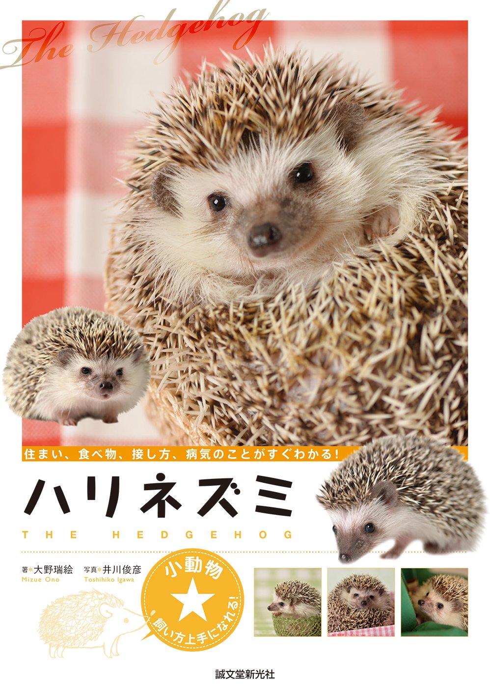 ハリネズミの一休み　Mサイズ Amazon.co.jp: ハリネズミ: 住まい、食べ物、接し方、病気のことがすぐ