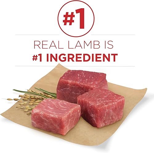 Miniatura 4 de Purina ONE SmartBlend Alimento seco para perros de cordero y arroz natural para adultos