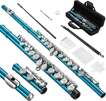 POGOLAB Flutes, Closed Hole C 16 Keys Flute Instrument, Student Flute for Beginner School Orchestra Band, with Cleaning Kit, Carry Bag, Strap, Probe Rod, Gloves (Sky Blue)
