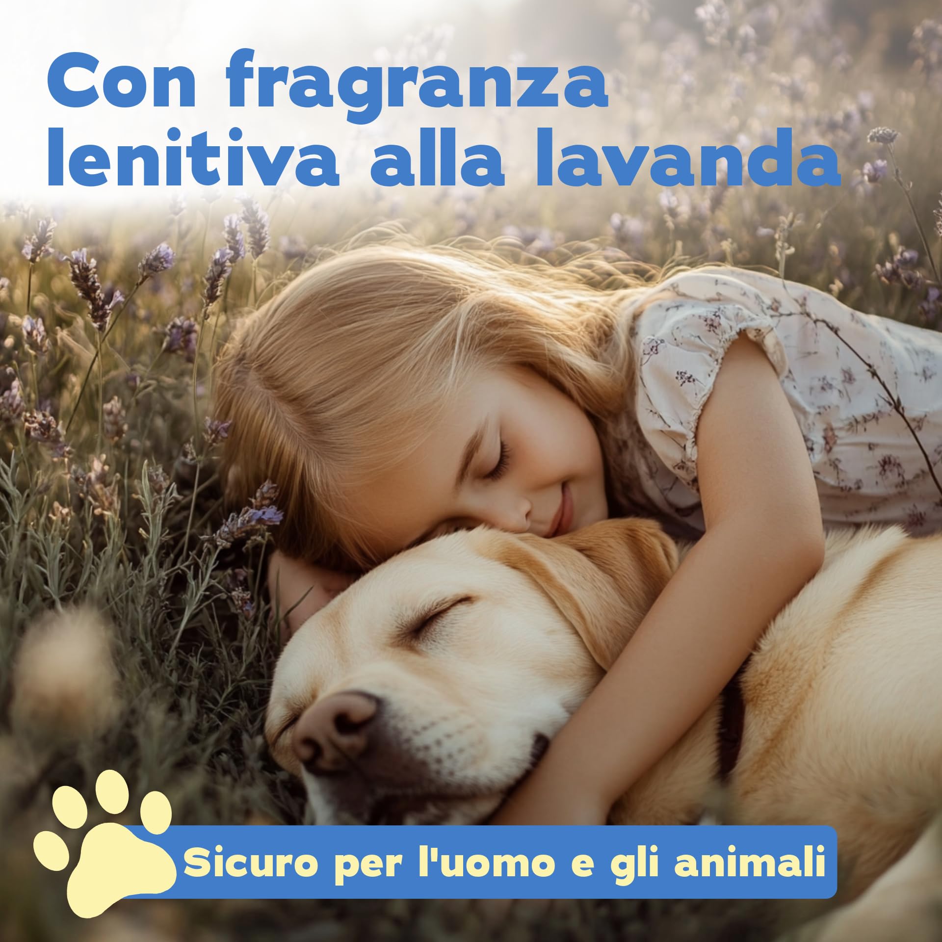 Bio-Chem - Rimuovi odori per cani 3 x 750 ml - Rimuovi odori di urina di cani - Detergente della lettiera del cane - Prodotti per la pulizia della casa
