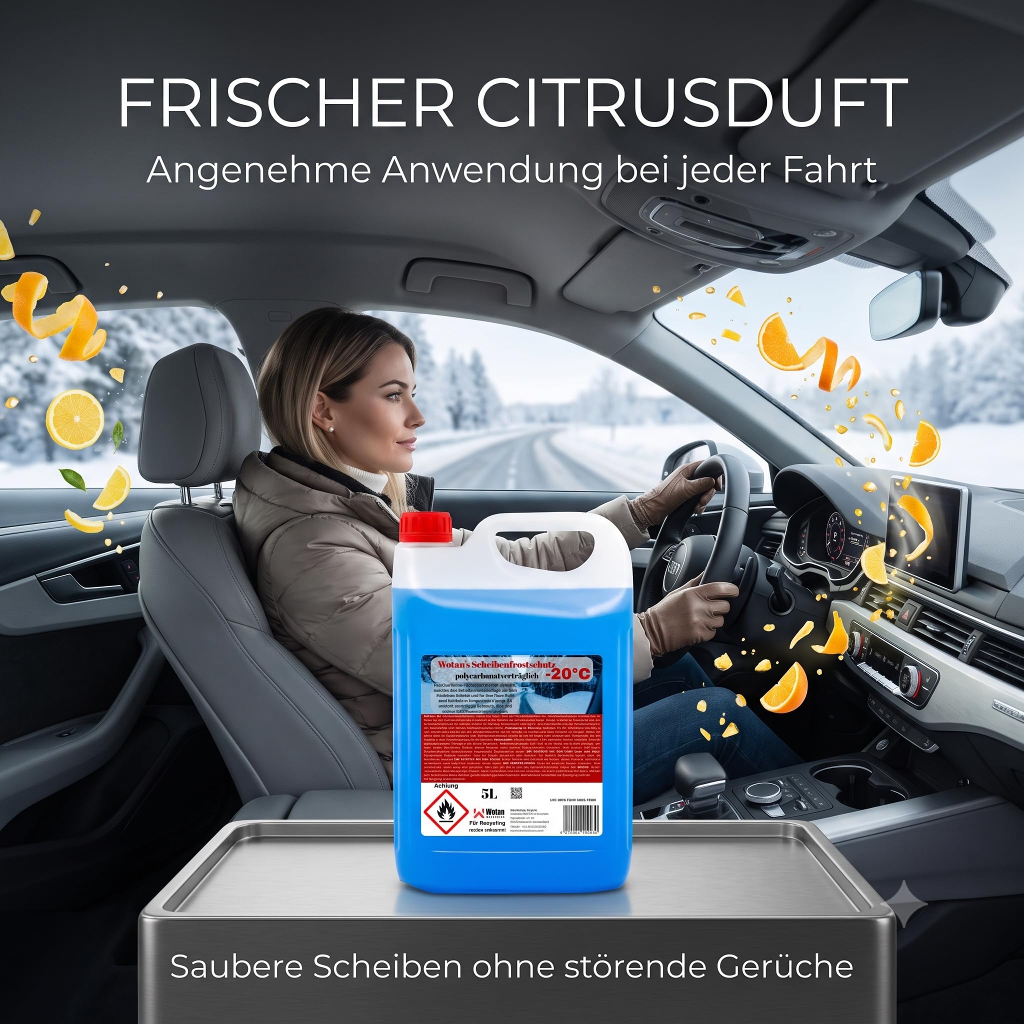 Wotan's 30 Liter Scheibenfrostschutz - 20 Grad | Frostschutz für die Auto Scheibenwaschanlage | Scheibenfrostschutz Konzentrat 30L (6 x 5L) | Frostschutzmittel Scheibenwaschanlage