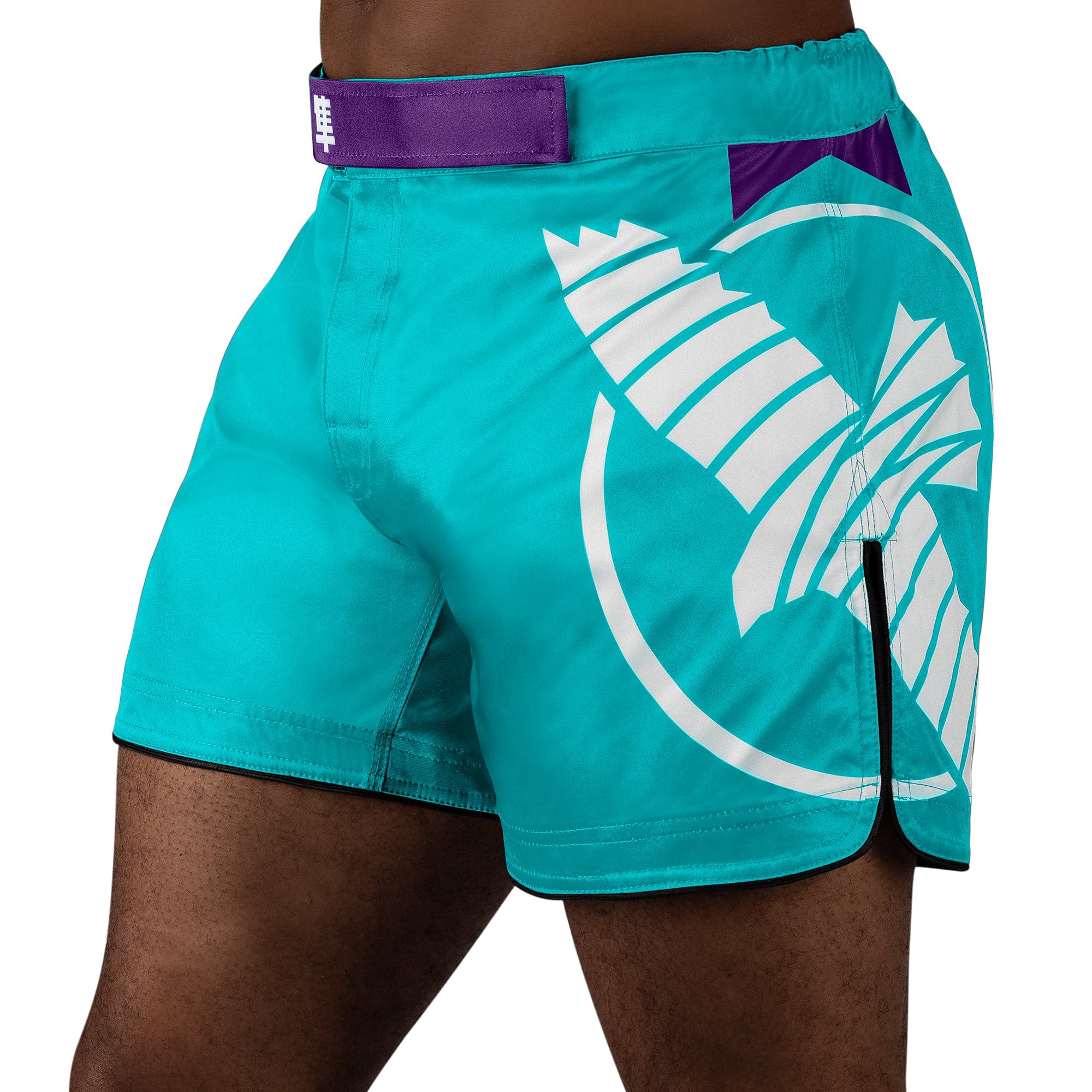 Buy Men's Icon MidThigh Fight Shorts Online at desertcartSri Lanka