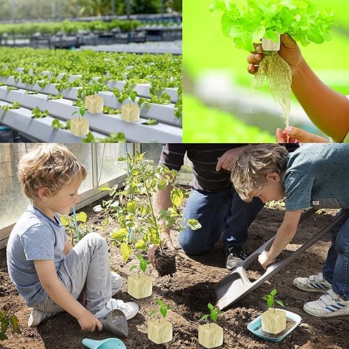 Vista 15 de Legigo Cubos de lana de roca de 2 pulgadas para iniciadores de semillas hidropónicas, cubos de plantación de lana de roca, tapones hidropónicos de 2