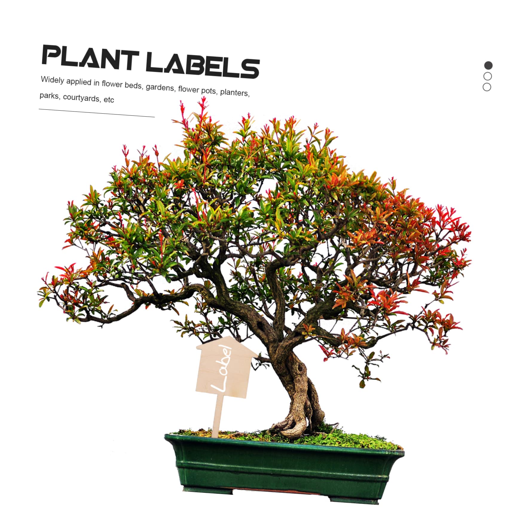 BESPORTBLE 3 Ensembles Étiquettes Pour Plantes Étiquettes Pour Plantes De Jardin Marqueurs Pour Pots De es D'Intérieur Étiquettes Pour es Ornements Pour Piquets 50 pièces * 3