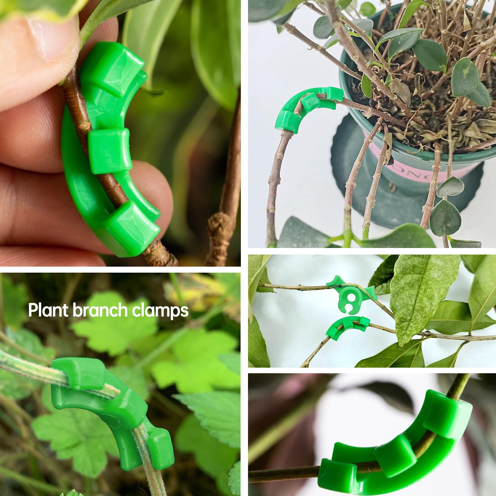 Minging 100 Pezzi Clip Per Piegare Piante Da Giardino – Morsetti A 90° In Plastica Rossi E Verdi, Supporto Per Rami, Formazione Piante A Basso Stress, Misure 3.5x2.5 Cm E 3.5x1 Cm