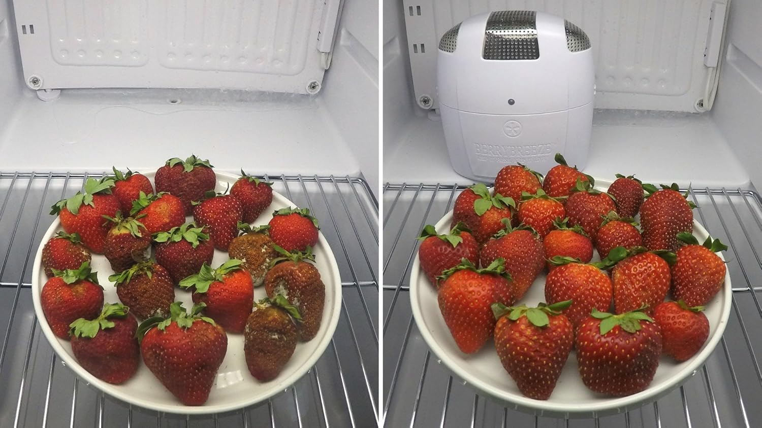 Berry Breeze Activated Oxygen Refrigerator Deodorizer-2023Model