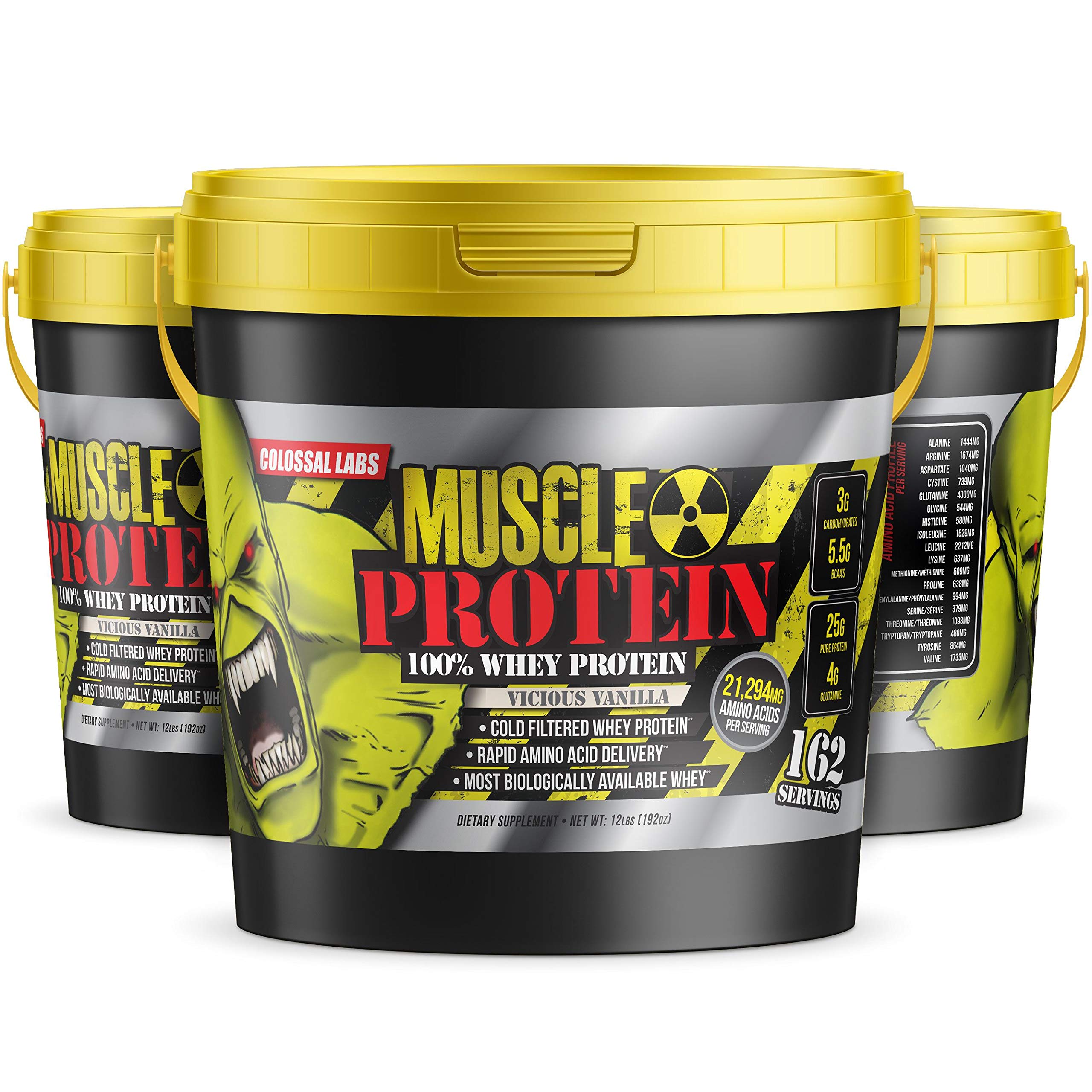 Whey Protein Blend [12 Pounds/Pack of 1]–Vicious Vanilla, Cold Filtered, 25g Pure Protein, 6.6g BCAAs/Serving(Packaging May Vary)