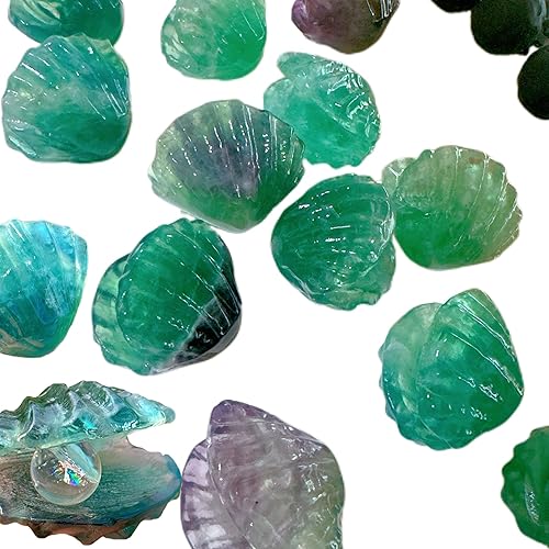 Miniatura 8 de Concha de cristales naturales, muestra mineral, concha de fluorita, decoración del hogar, talla de cristal, curación de reiki, regalos de cristal