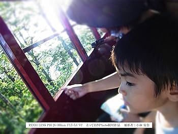 こいう Amazon | RICOH デジタルカメラ GXR+P10KIT 28-300mm 170550