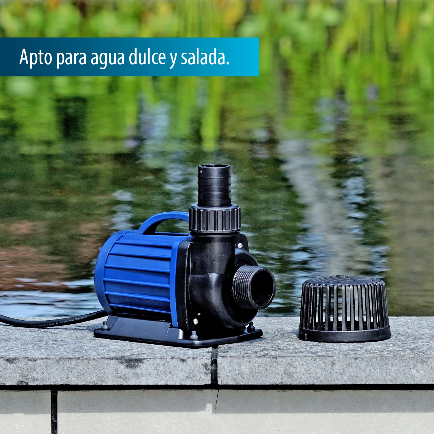 Acquaforte di stagno/Filtro Pompa DM 3500
