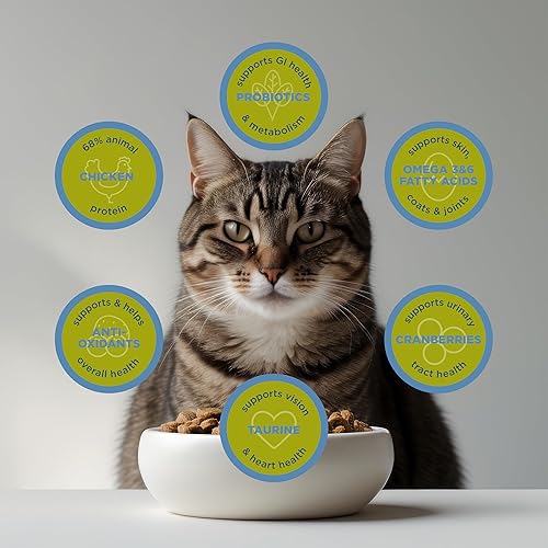 Miniatura 5 de Blackwood Comida para mascotas para gatos hecha en Estados Unidos Comida seca súper premium para gatos adultos, interiores y mayores, receta de