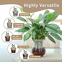 Vista 6 de Bolas de leca de 2.2 libras para plantas de interior, guijarros de arcilla expandida para plantas hidropónicas, mezcla para macetas de orquídeas